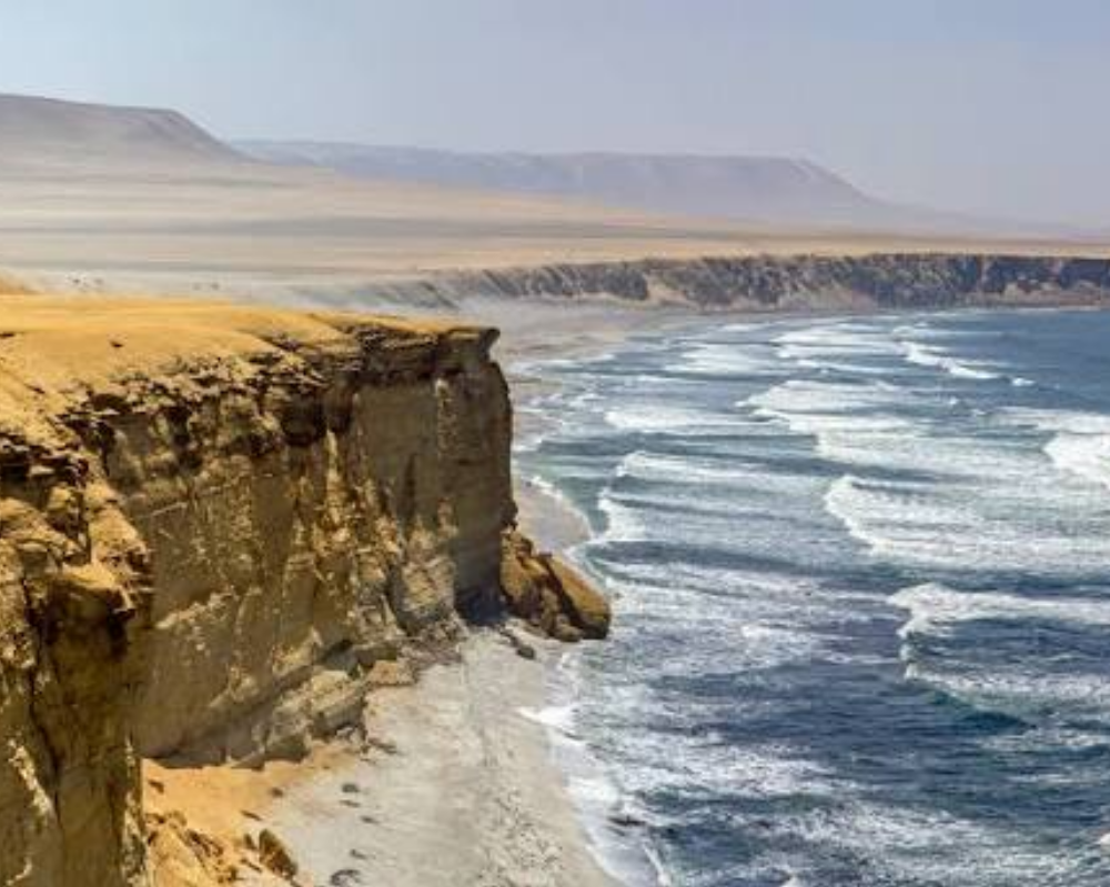 Getaway in Paracas 02 Days / 01 Night