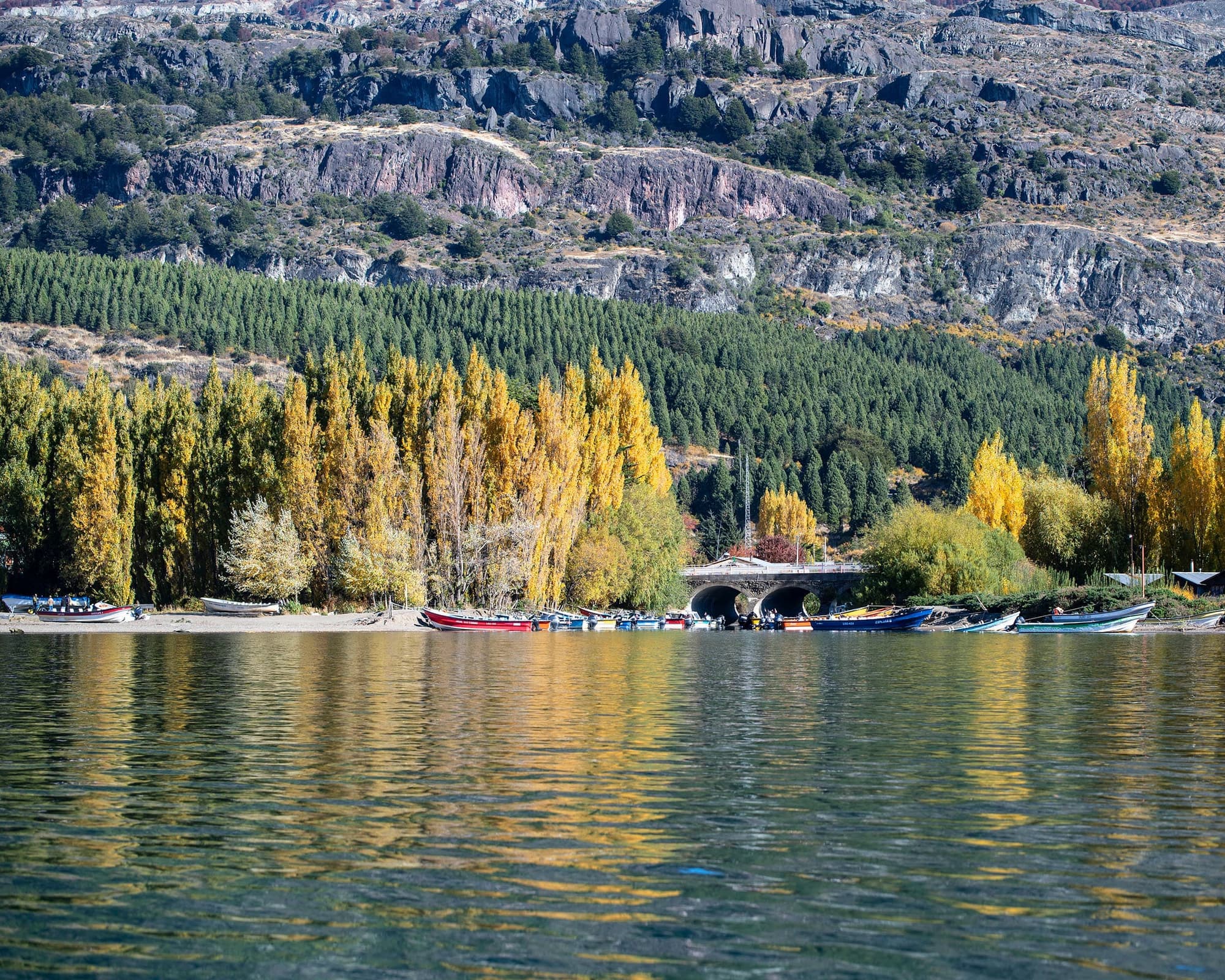 Loberías del Sur Especial Glaciares 