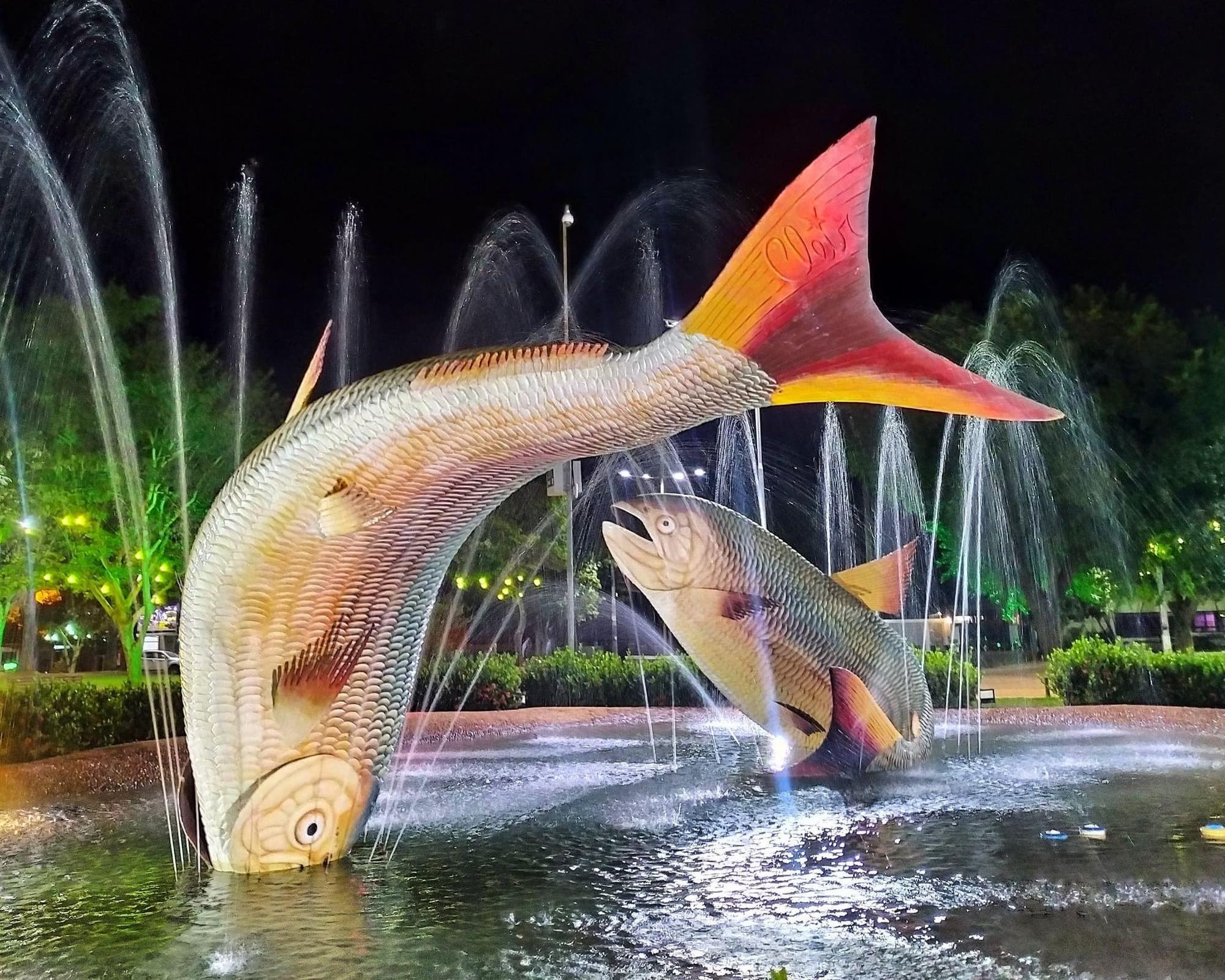 ¡Este año nuevo tu corazón latirá BONITO!