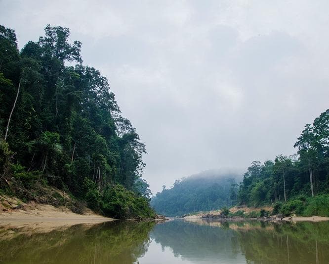 Kurztour "4 Tage Taman Negara"