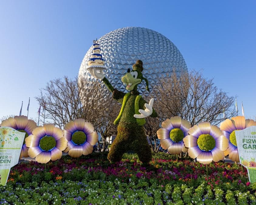 Orlando + 5 parques temáticos