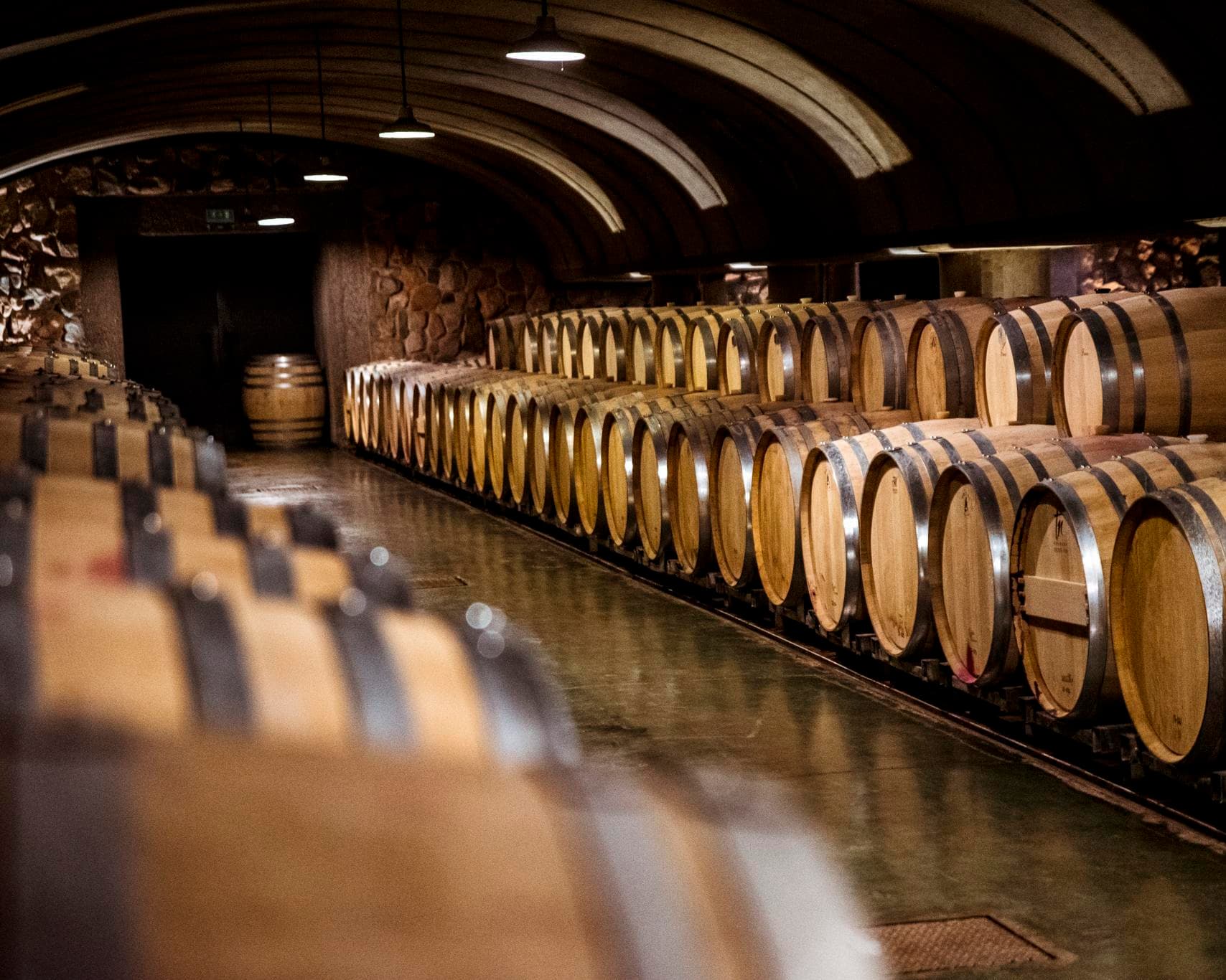 Paquete Vinos y Más 