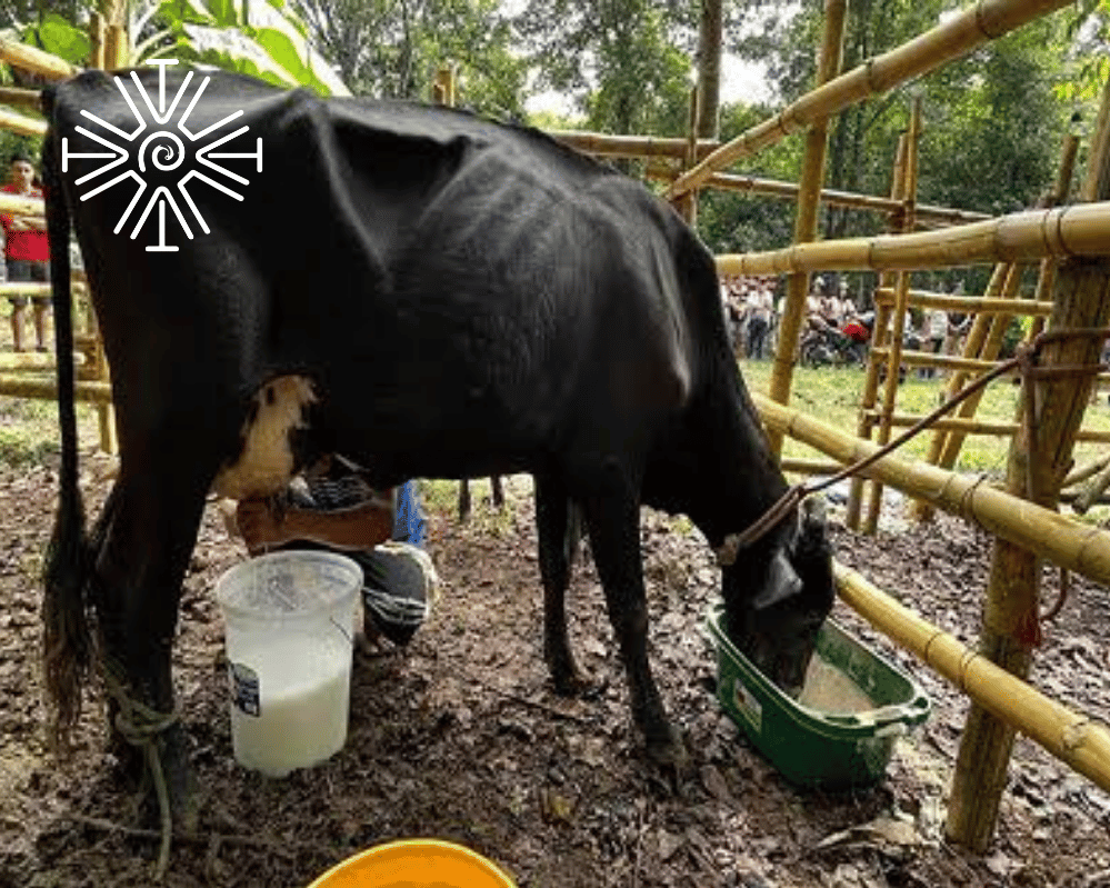 Unforgettable Oxapampa 04 Days / 03 Nights