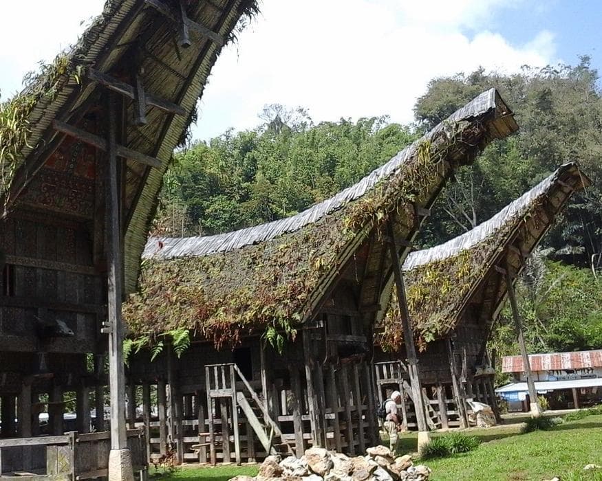  Privatrundreise "Südsulawesi & Toraja"