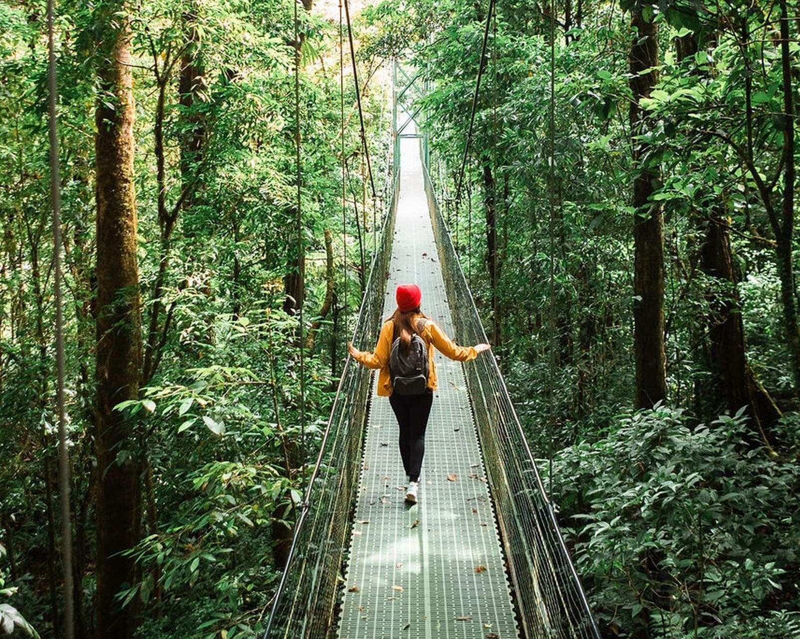 ticket