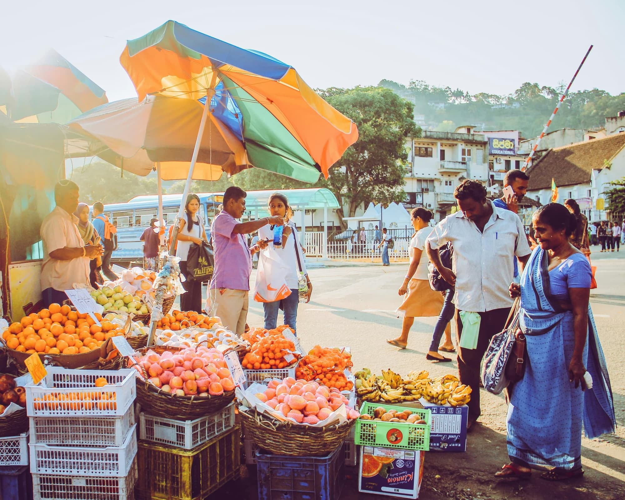 Privatrundreise ""Sri Lanka zum Kennenlernen inkl. Strandaufenthalt in 4* & 5* Resorts"