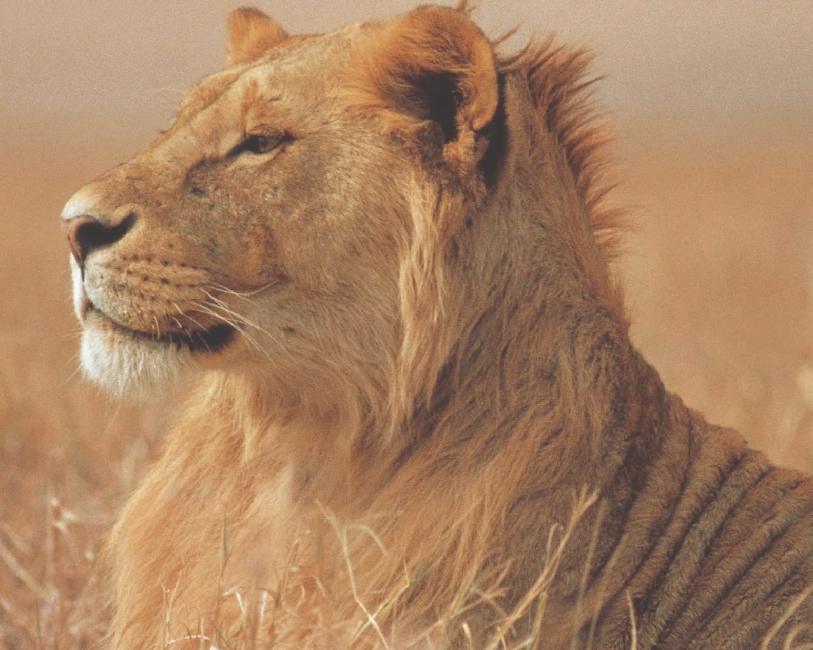 Southern Africa and Madagascar Expedition