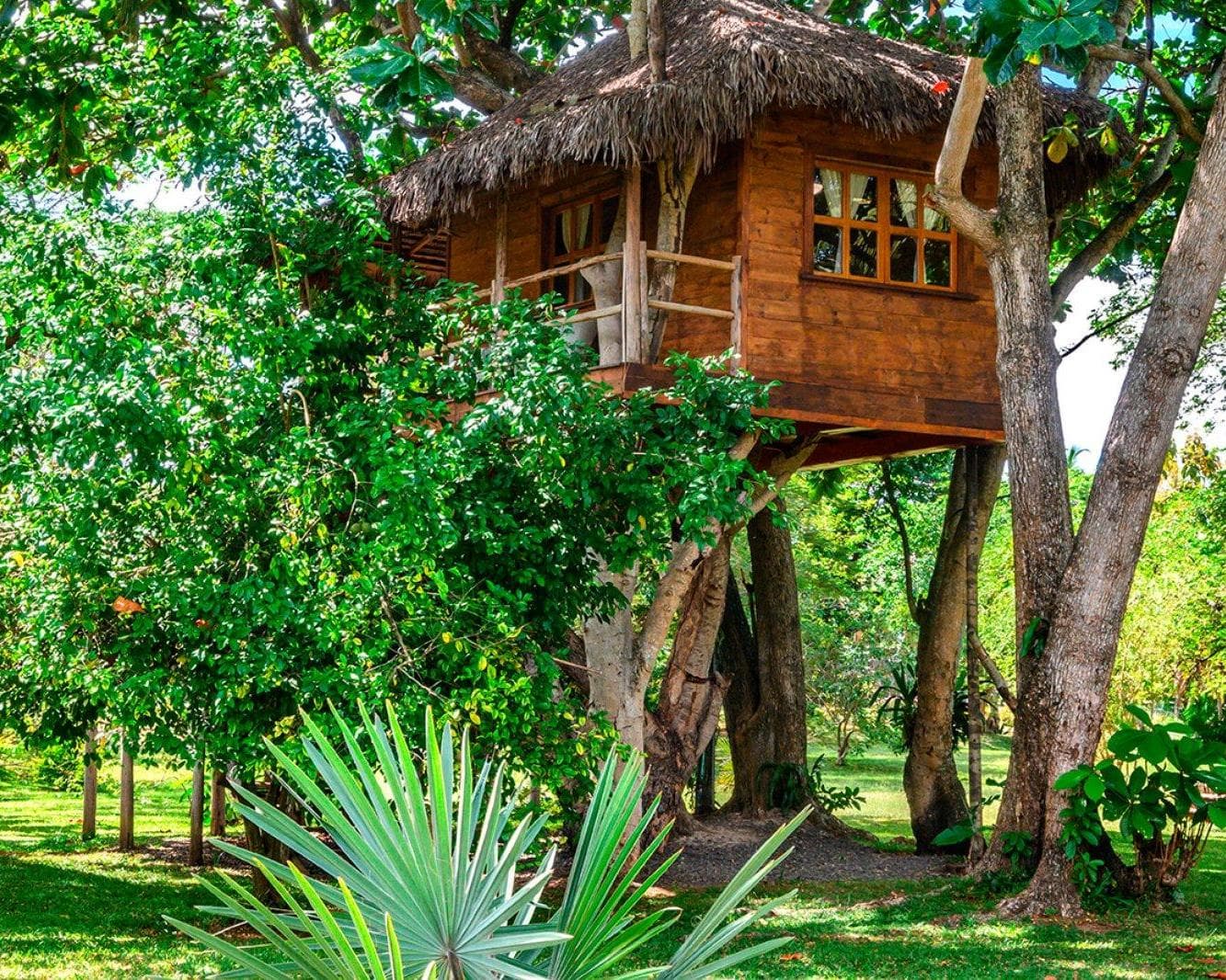 MADAGASCAR: BRAVO PREMIUM ANDILANA BEACH