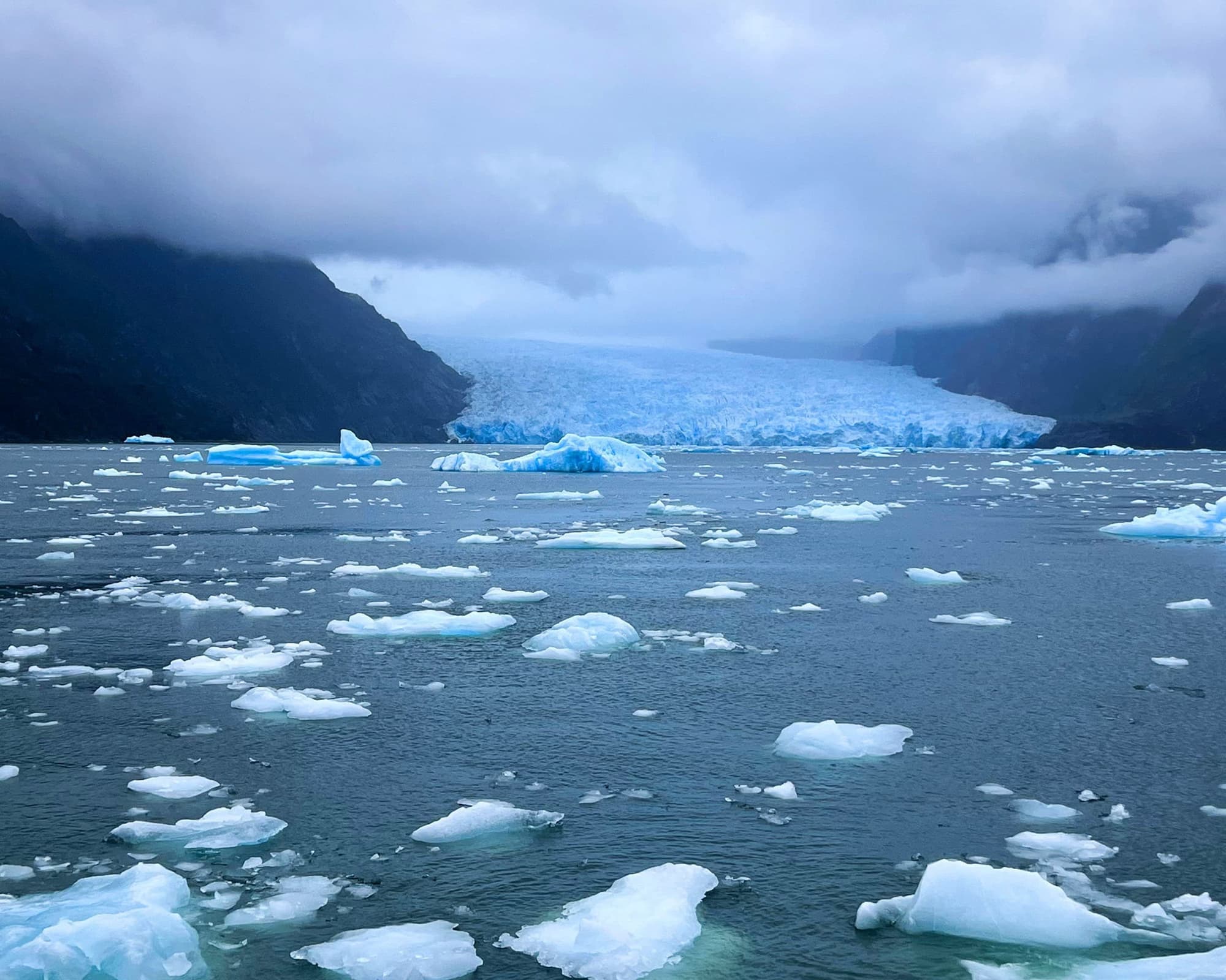  Especial Glaciares Loberías del Sur
