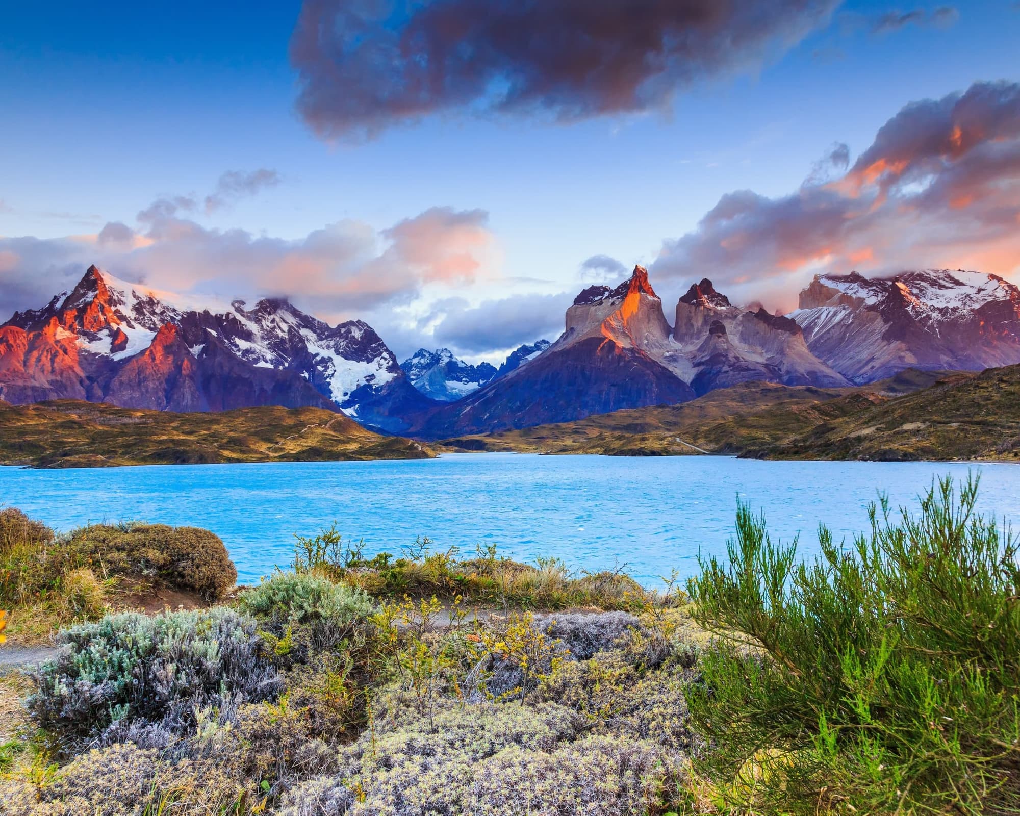 Vida Silvestre & Fauna en Puerto Natales