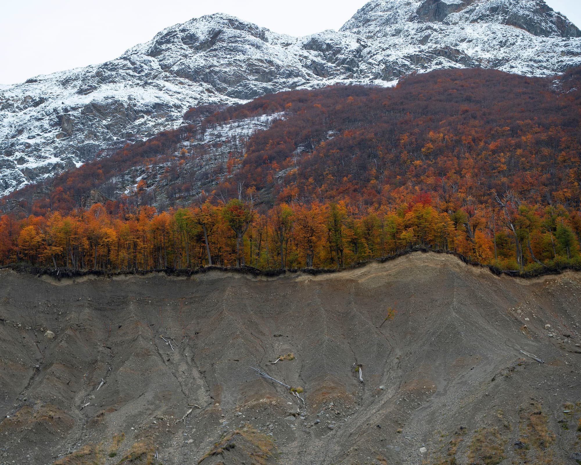 Loberías del Sur Especial Glaciares 