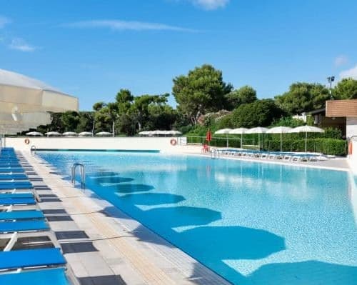 PUGLIA: BRAVO ALIMINI