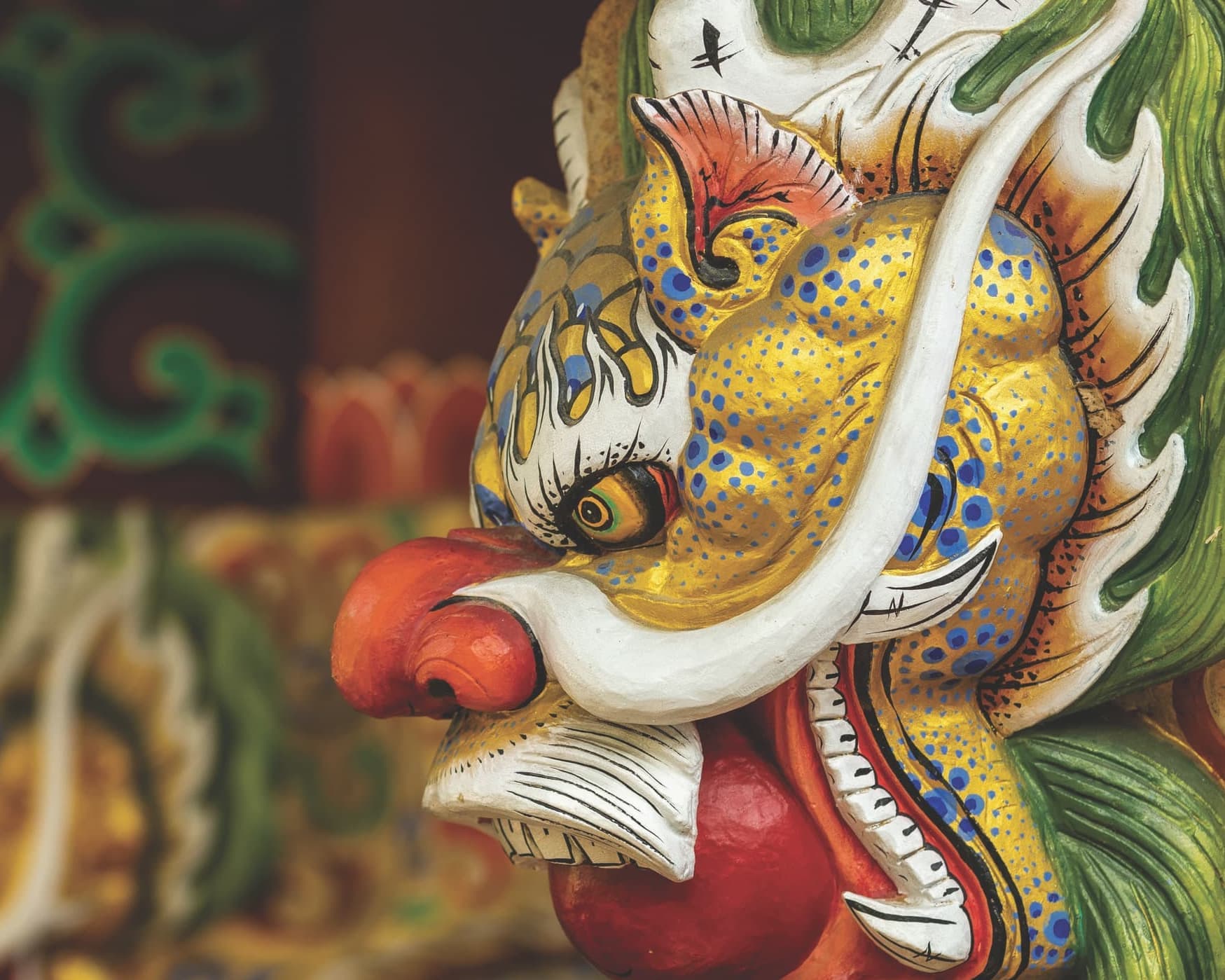 Japan and South Korea Expedition: Between Contrasts