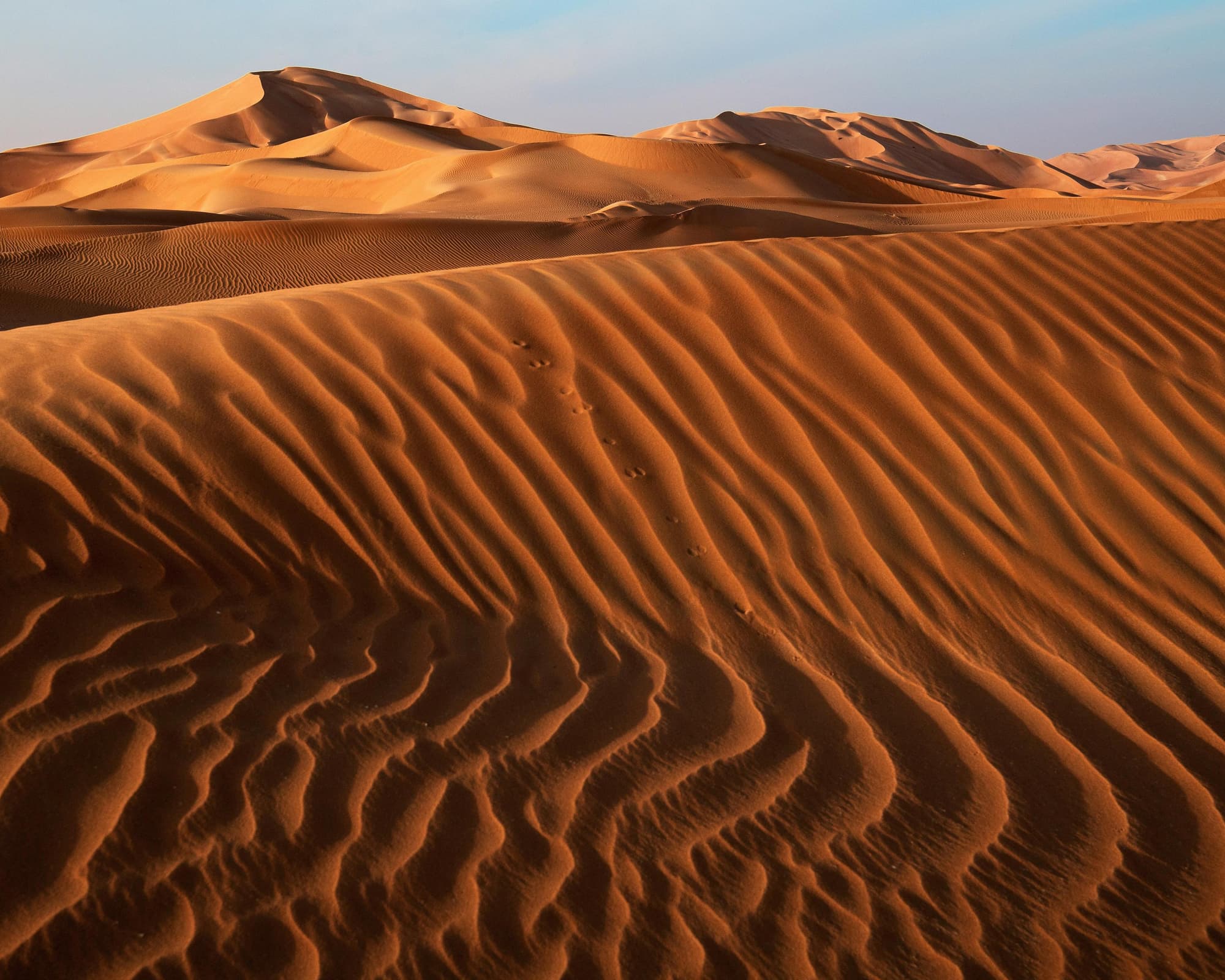 Private Kurztour "Vom Schildkrötenstrand ins Wüstencamp"