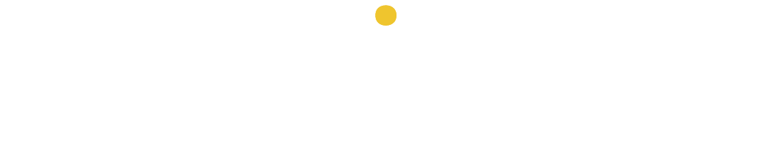 Vueling Holidays
