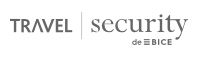 Travel Security