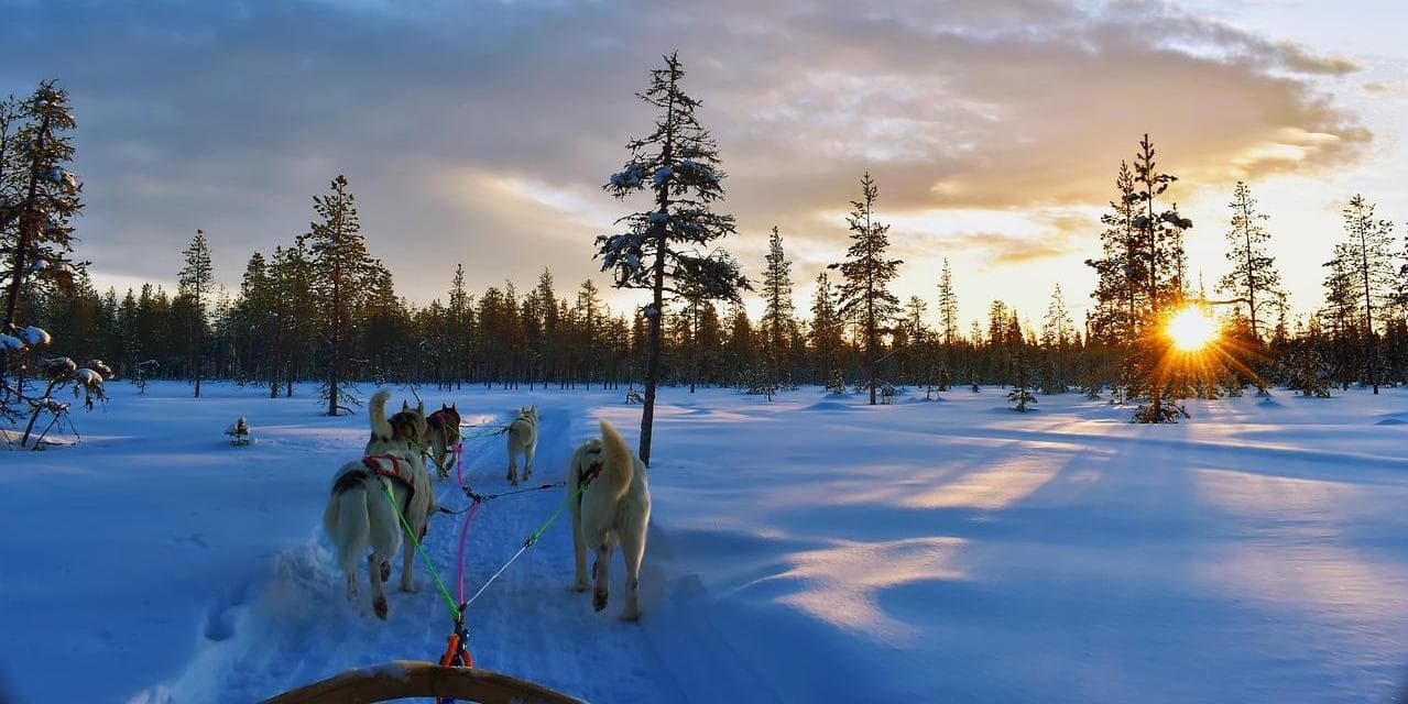 GIORNO 2 - RENNE, HUSKIES, SANTA CLAUS E AURORA