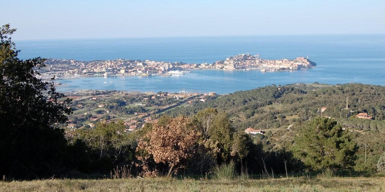 Day 1 : Marina di Campo - M.te Orello - Lacona - Capo Stella - Marina di Campo