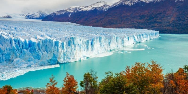 EL CALAFATE