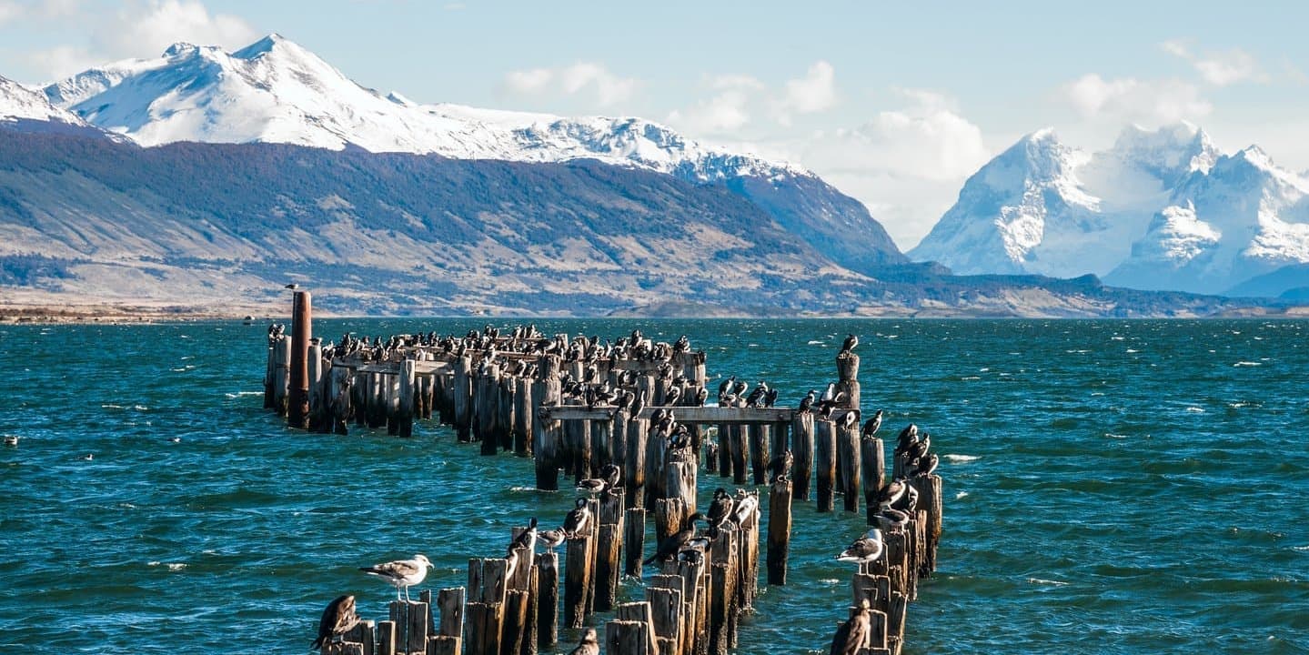 DIA 01 PUERTO NATALES