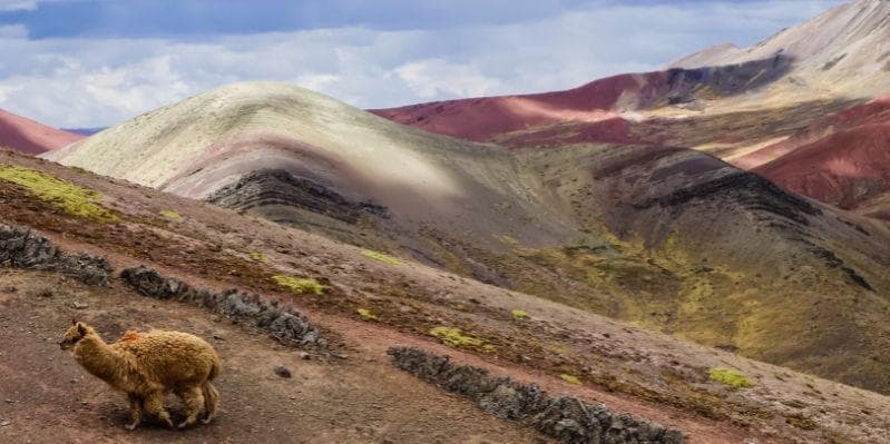 Day 07: Cusco to your air