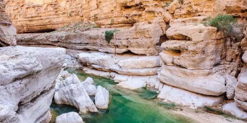 AL HAMRA