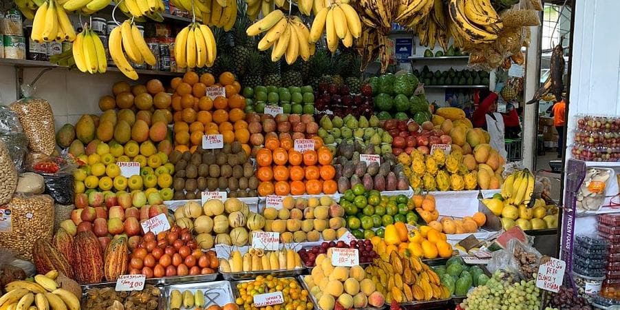 Lima Gastronomic
