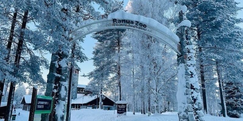 DÍA 5 • ROVANIEMI-PARQUE ARTICO RANUA 