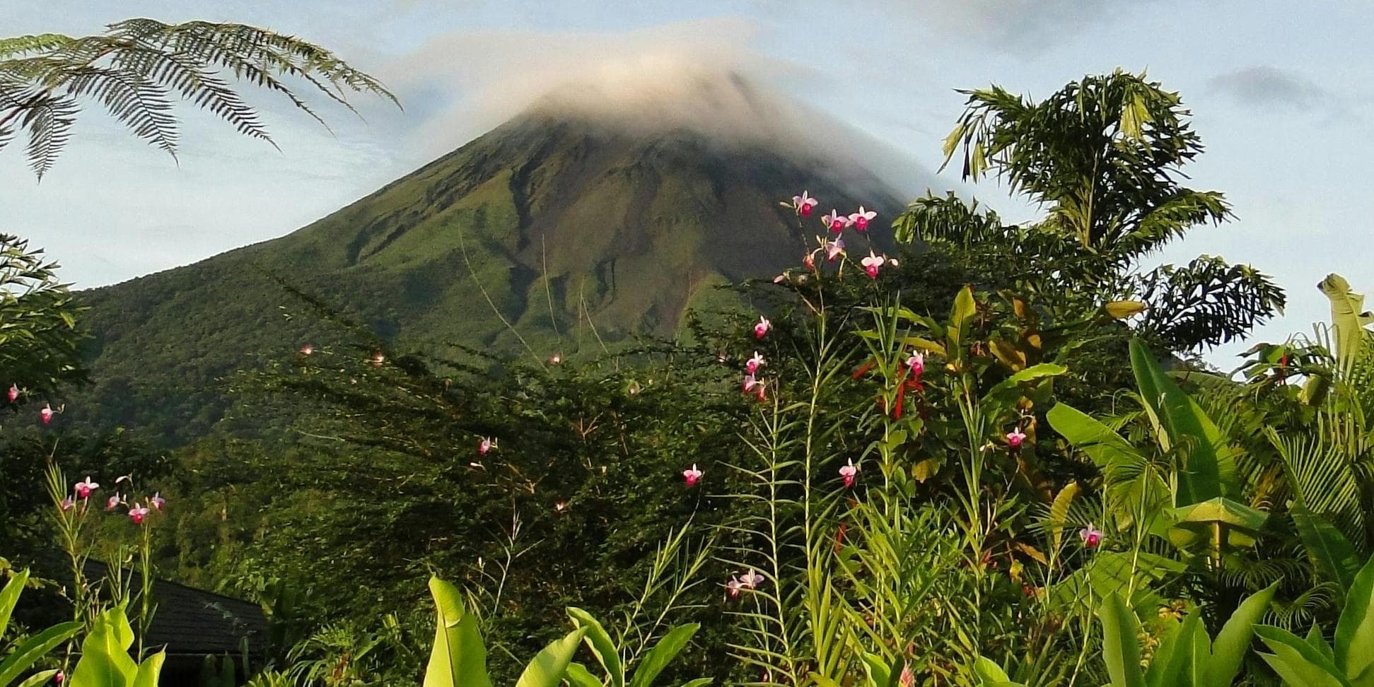 DÍA 4 • TORTUGUERO - VOLCAN ARENAL 