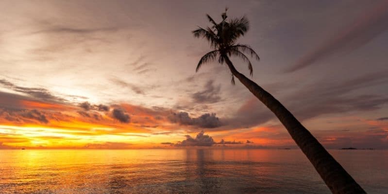 HANIMAADHOO