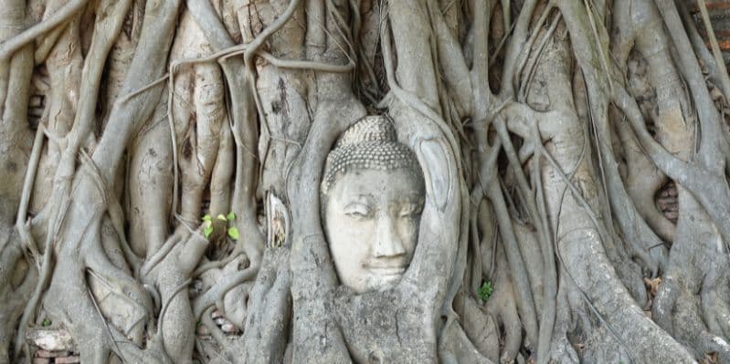 CHIANG RAI / CHIANG MAI