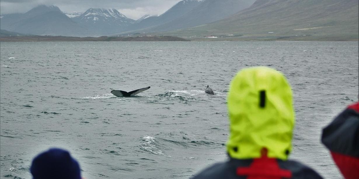 Day 6 Akureyri-Reykholt