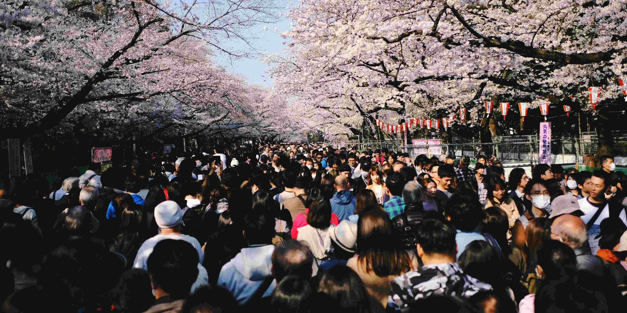 DAY 2: CULTURE AND HISTORY IN TOKYO