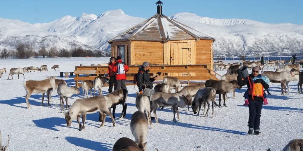 TUESDAY, DECEMBER 29 / SAARISELKA – ROVANIEMI (280 KM)