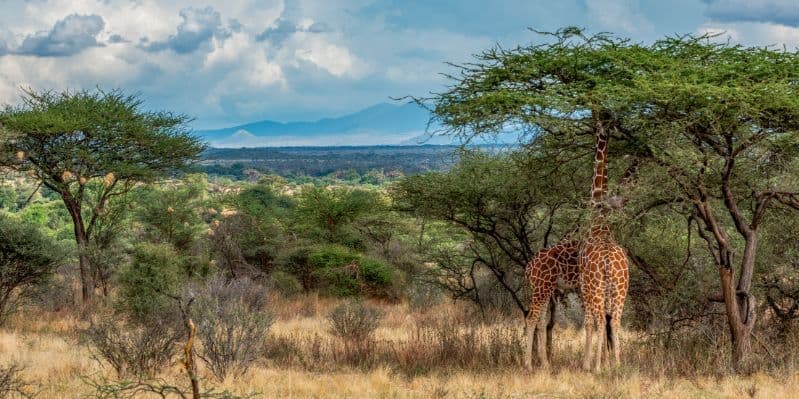 SAMBURU NATIONAL RESERVE