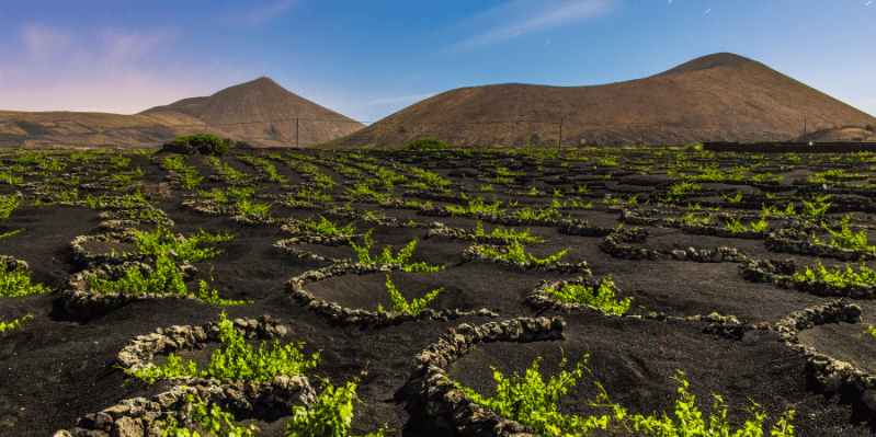 LANZAROTE
