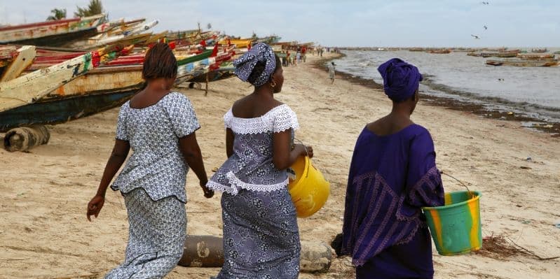 SENEGAL / ITALIA