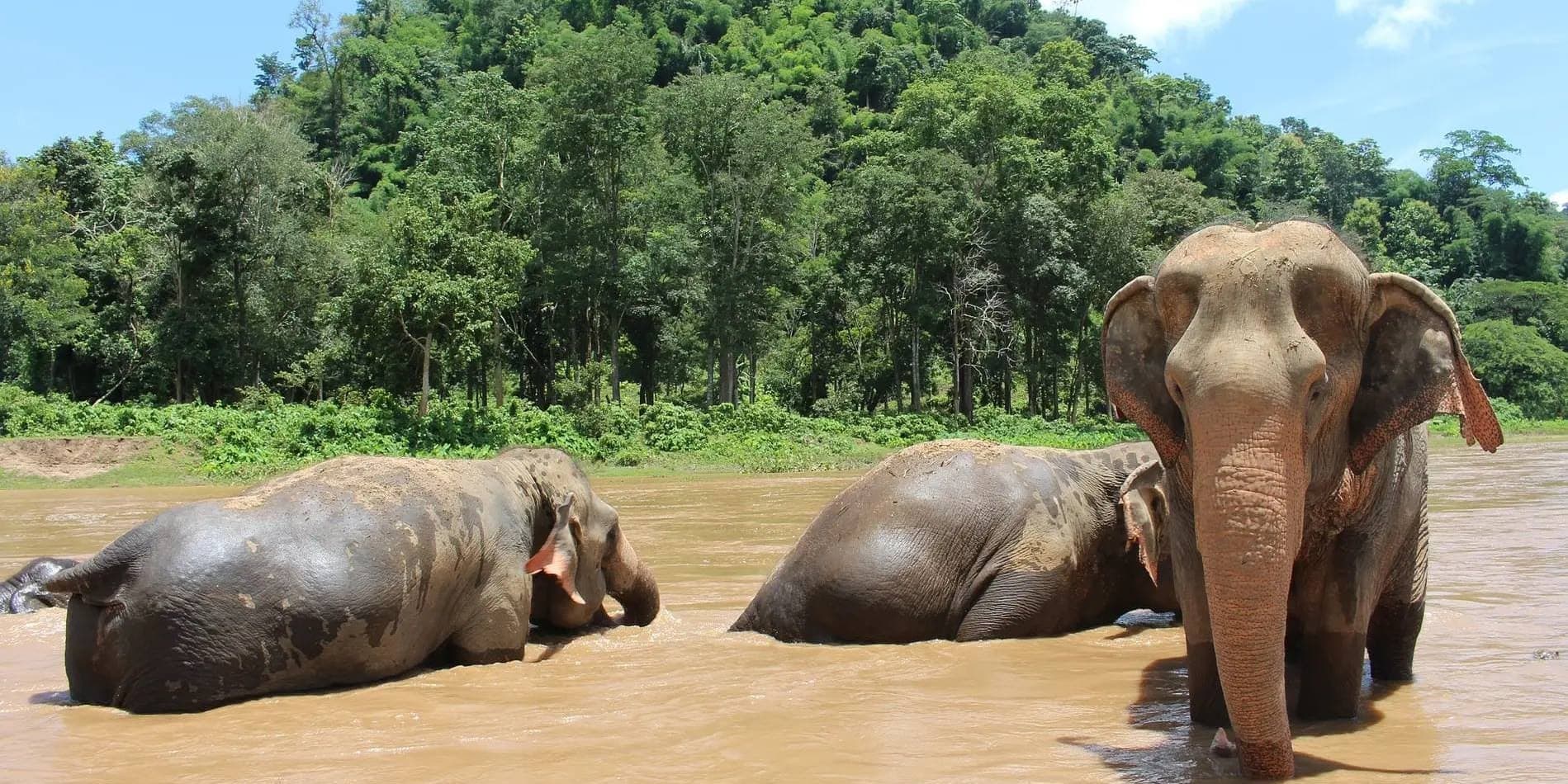 DÍA 7 • CHIANG MAI