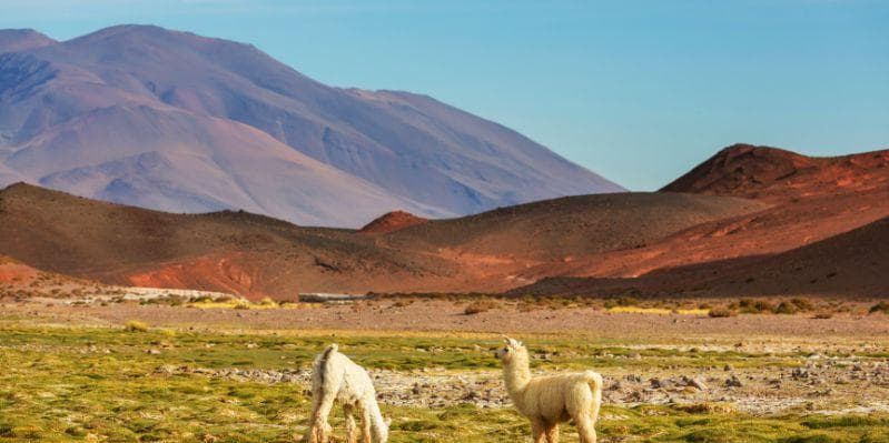 Day 03: Archaeological Park of Sacsayhuaman