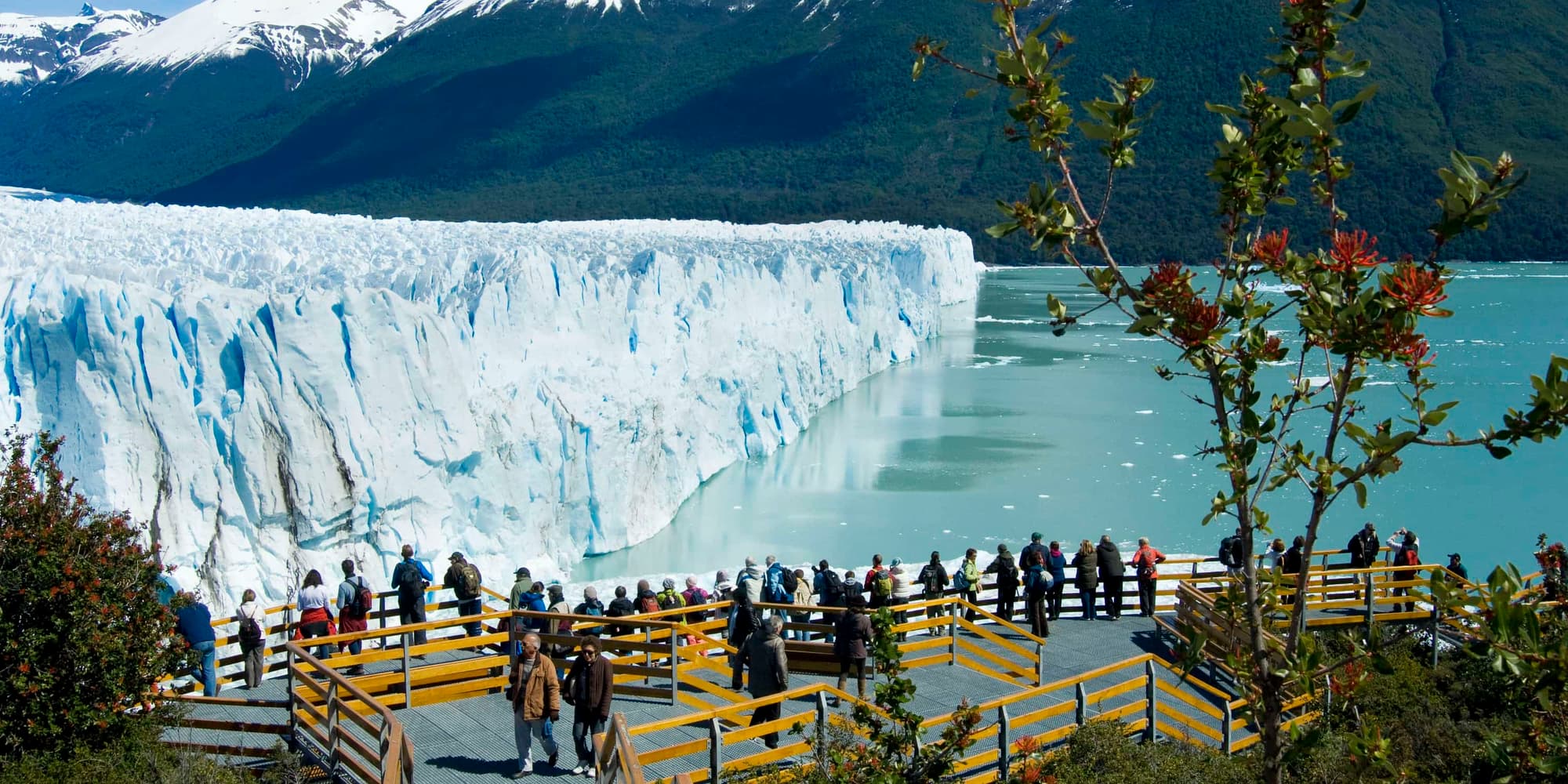 Day 11 - Face to Face with the Ice Giant: Perito Moreno Glacier