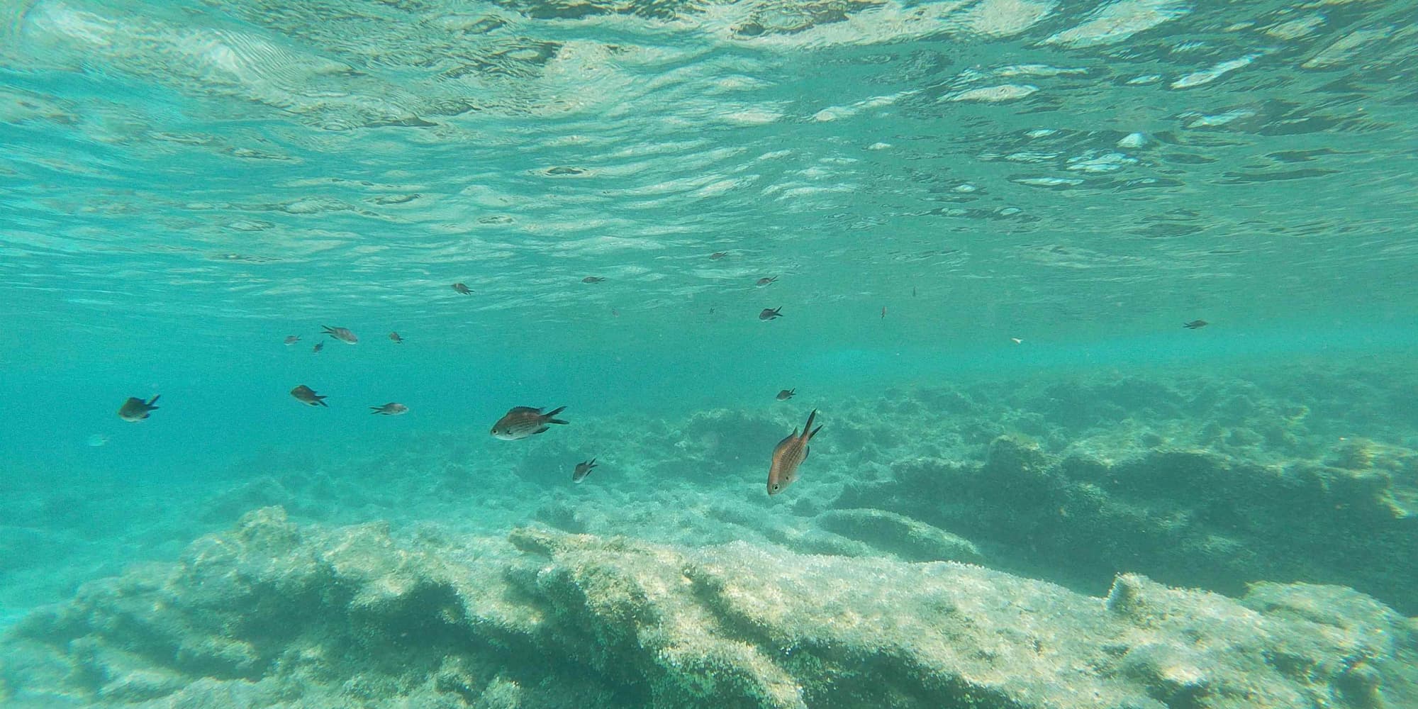 DAY 2: SECRET BEACHES AND WELLNESS IN FORMENTERA