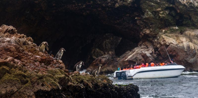 Day 03: Paracas, Marine Life Reserve