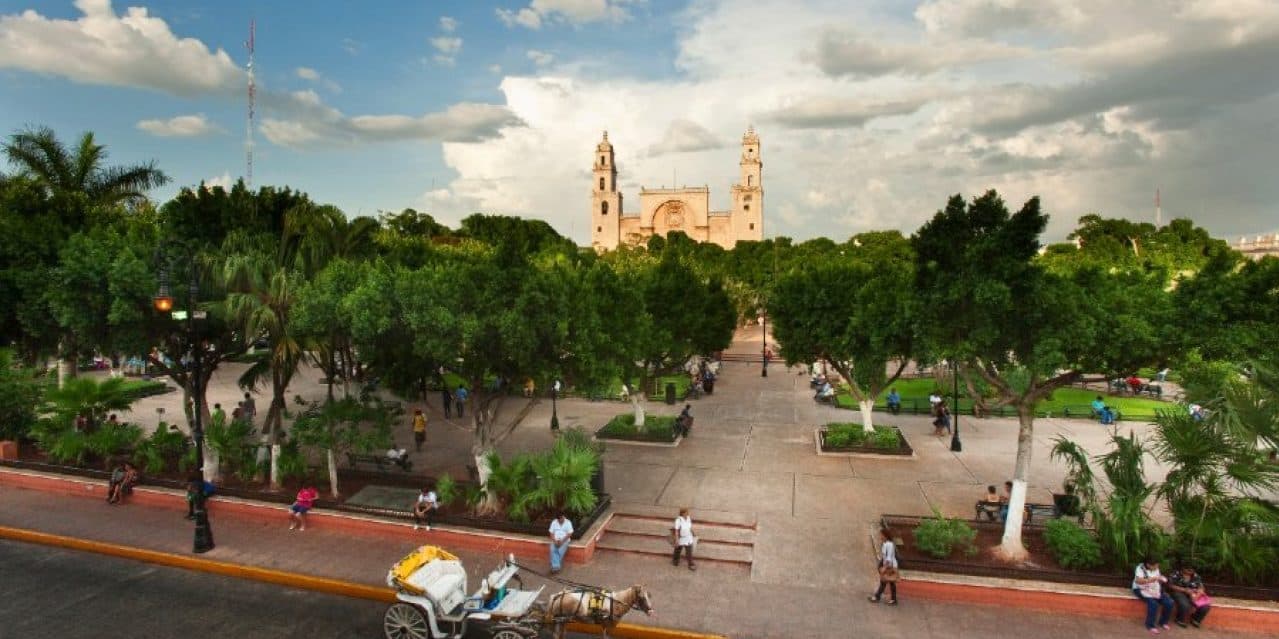 Día 8 | Jueves 03 de Diciembre | Mérida