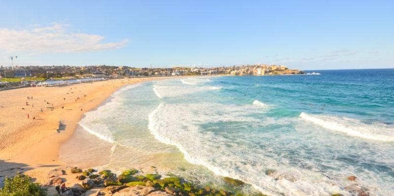 SYDNEY / BLUE MOUNTAIN NATIONAL PARK / SYDNEY