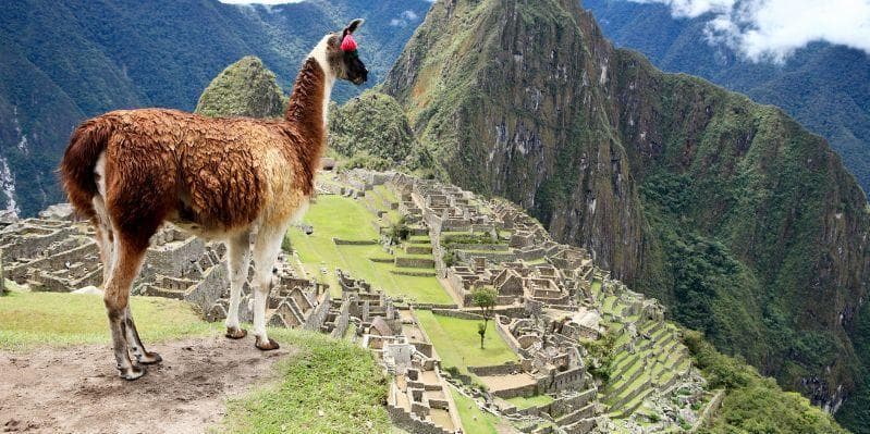 Day 07: Machu Picchu, Lost Citadel