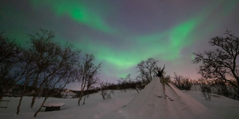 NORVEGIA