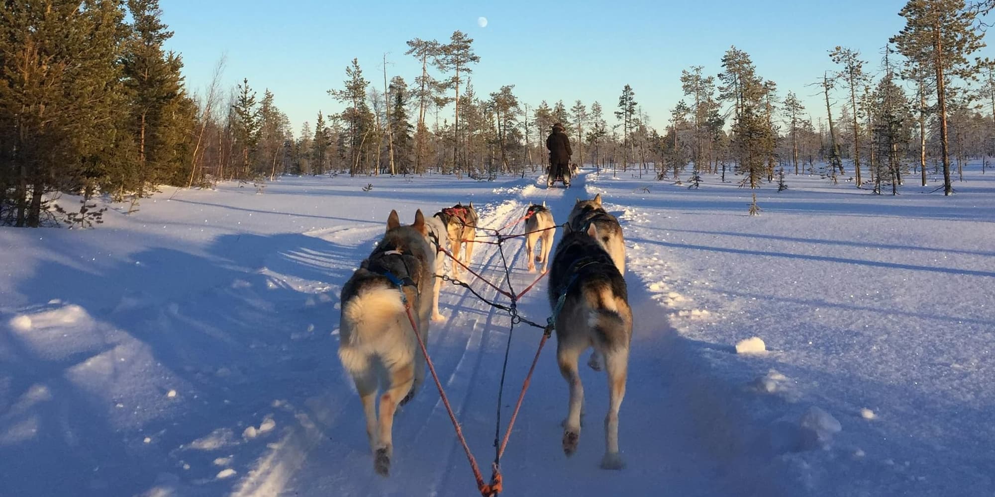 DAY 06 EXCURSION TO INARI – SAMI CULTURE AND HUSKY SAFARI