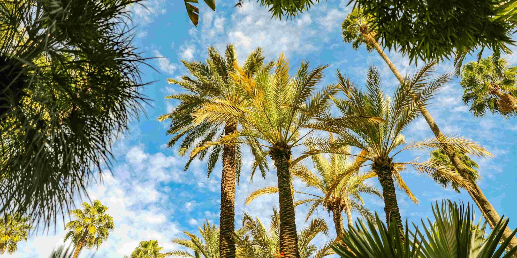 9η Μέρα | Μαρακές – Ελεύθερος χρόνος – Έρημος Agafay.