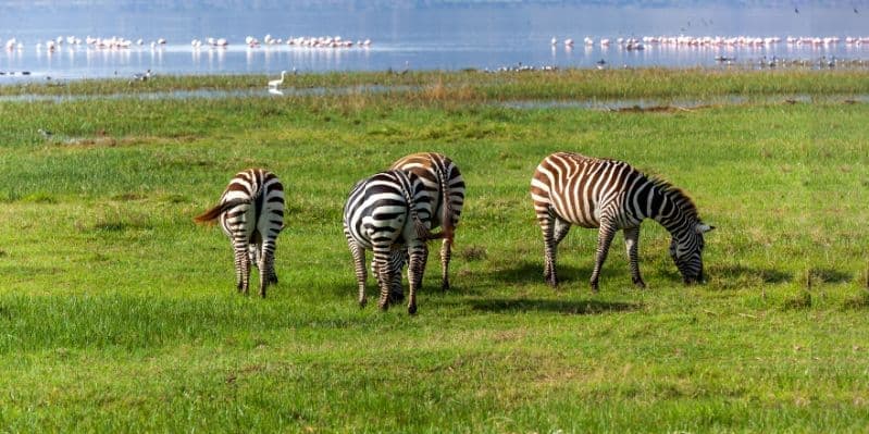LAKE NAKURU NATIONAL PARK