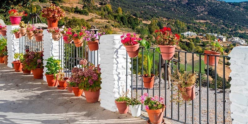 ROQUETAS DE MAR – ALPUJARRAS GRANADINAS (ÓRGIVA Y LANJARÓN) – GRANADA – PALMA